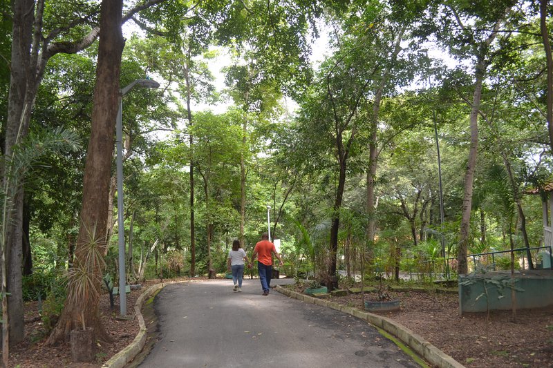 Teresina Contar Cinco Novos Parques Ambientais Graus O