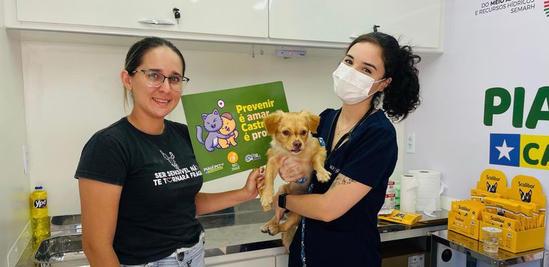 Piauí Pet Castramóvel realiza mais de 600 atendimentos de cães e gatos