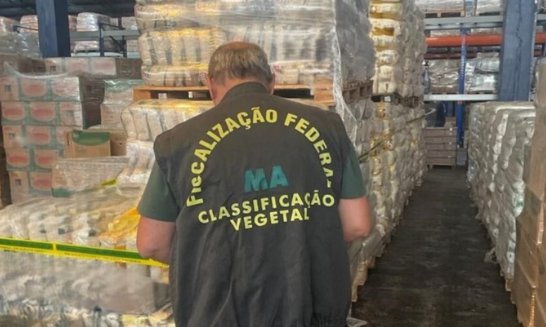 Fiscais Apreendem Quase 20 Toneladas De Arroz Irregular 180graus O