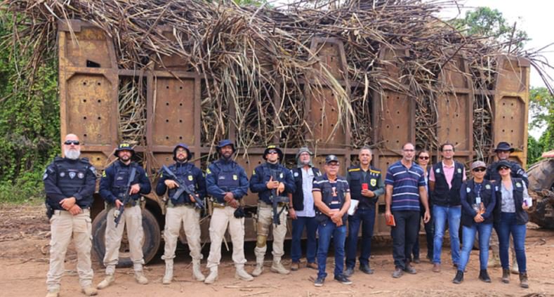 Piauienses são resgatados de trabalho análogo à escravidão no Sergipe