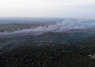 Floresta no Pará