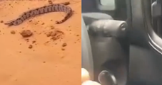 Mulher é surpreendida por bote de Jiboia durante gravação na estrada