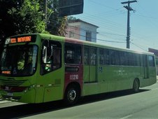 Transporte público Teresina (Foto: )