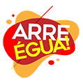 Televisão