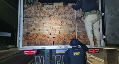 PRF apreende carga com 36 m³de madeira ilegal em Floriano/PI