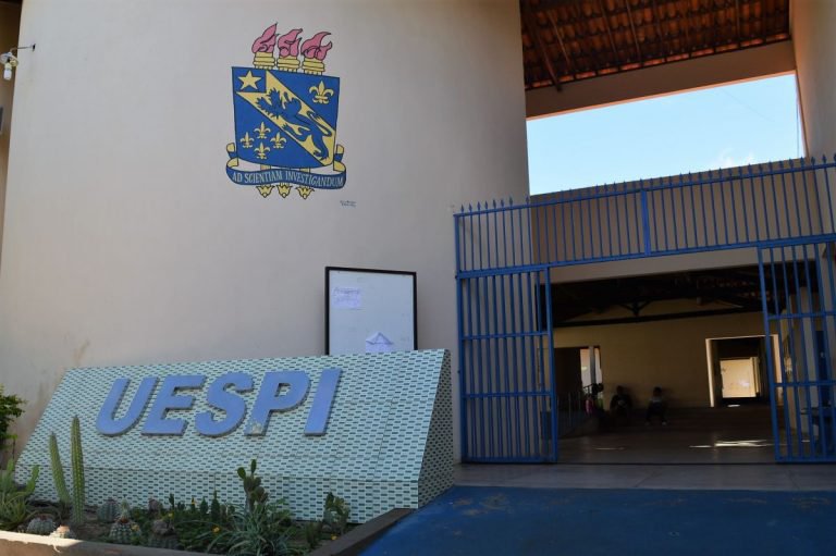 Uespi inaugura laboratório de informática e brinquedoteca em São ...