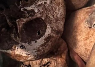 Cranios e ossos encontrados ao lado de lápides em apartamento de São Paulo