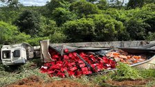 Carreta carregada de cerveja tomba na BR-230 em município do Piauí