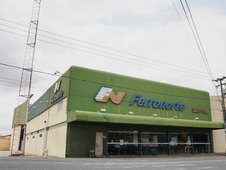 Ferronorte (Foto: Reprodução)