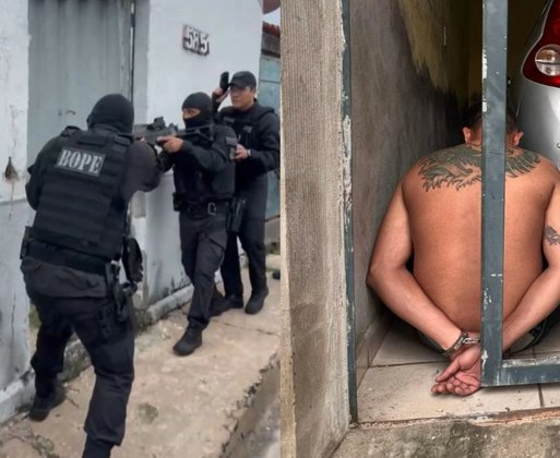 Reprodução