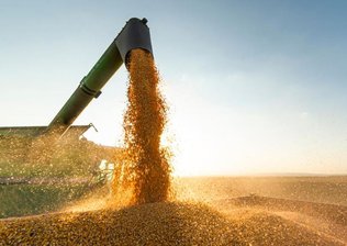 Balança Comercial do Piauí atinge R$ 794 milhões d