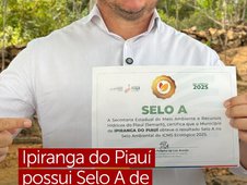 selo A (Foto: reprodução)