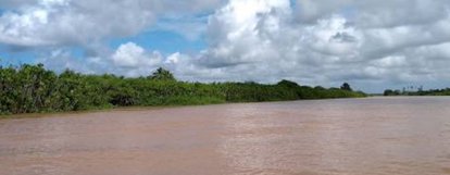 Governo Federal investe quase R$ 1 bilhão na revitalização do Rio Parnaíba