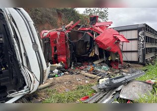 Acidente entre caminhões mata motorista e 5 bovinos na MG-285, em Piraúba