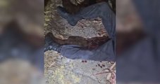 Bomba caseira estoura em adolescente que planejava ataque a escola