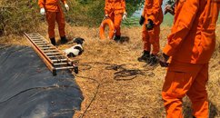 Entenda: Ação teve duração de uma hora Bombeiros resgatam três cães em estação de tratamento de água no interior do Piauí