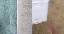 Ex invade casa, tenta matar mulher e filho o atinge com facão em SC