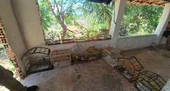 PM-PI e Ibama apreendem aves silvestres mantidas em cativeiro no município de Ilha Grande