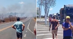 Reprodução