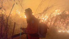Semarh proíbe queimadas em imóveis rurais até 30 de outubro para prevenir incêndios florestais em todo o Piauí