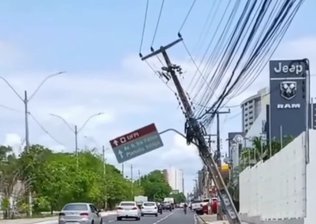 Conheça o calendário Oficia do Piauí com leis de iniciativa parlamentar