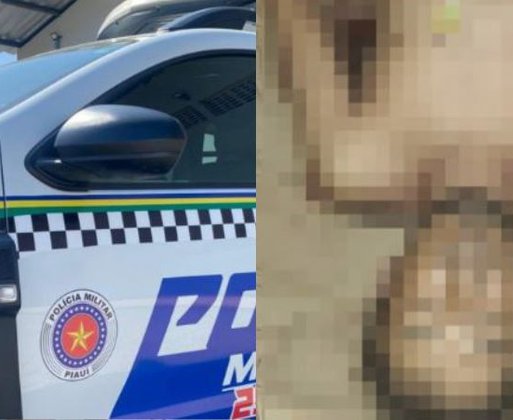 Homem é morto a facadas no interior do Piauí; principal suspeito seria amigo da vítima e foi preso