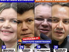 Amostragem: Gracinha Mão Santa lidera para deputado estadual e Florentino Neto para federal em pesquisa em Parnaíba (Foto: )
