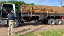PRF intercepta caminhão com carga de 26,20 m³ de madeira ilegal durante fiscalização no Piauí