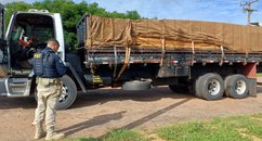 PRF intercepta caminhão com carga de 26,20 m³ de madeira ilegal durante fiscalização no Piauí