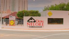 Dom Nelore