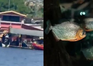 Homem é devorado por piranhas após se afogar em rio no Dia das Mães