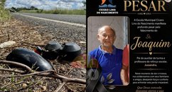 Homem morre após colidir moto em vaca quando seguia para a roça na PI-225 em Hugo Napoleão