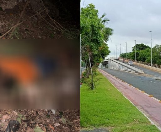 Motociclista morre após cair da Ponte da Amizade em Teresina