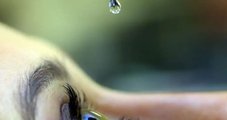 Oftalmologistas lançam campanha 24 Horas pelo Glaucoma; ilustração, colírio, olho, gota
