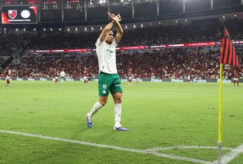 Cesar Greco/Palmeiras