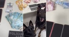 delegaciadeesperantina