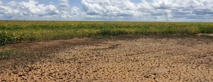 Governo Federal reconhece emergência por estiagem em quatro cidades do Piauí
