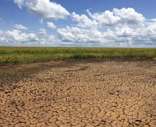 Governo Federal reconhece emergência por estiagem em quatro cidades do Piauí