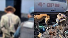 Homem é preso por caça ilegal, maus-tratos a animais e posse irregular de armas no Piauí