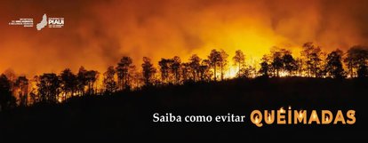 Pacto Piauí Sem Queimadas