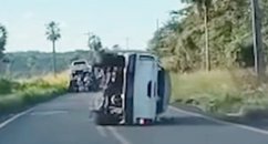 Reprodução