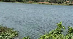 Cadáver humano é encontrado boiando na Lagoa do Bebedouro, em Parnaíba