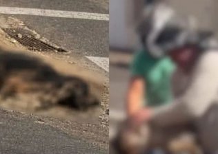 Homem é preso após incendiar cadela viva para atingir ex em MG. Veja vídeo