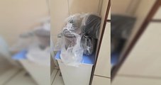 Kit de café apreendido em hospital do DF será periciado após intoxicação