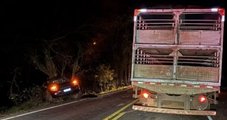 Motorista de 69 anos morre após picape bater em caminhão e ser lançada para fora de rodovia