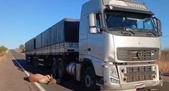 Animais morrem após serem atropelados por carreta na BR-230
