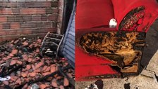 Família perde quase tudo após incêndio destruir residência em Teresina