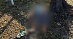 Homem é encontrado morto na zona rural de Esperantina
