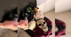 Homem fingia ser garota para violentar e extorquir adolescente no Paraná