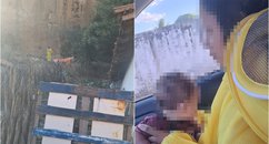 Mãe com bebê são resgatados durante ataque de abelhas e cadela morre em Oeiras